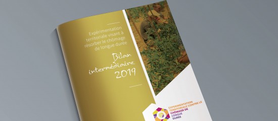 insertion-bilan-de-l-experimentation-territoires-zero-chomeurs-longue-duree