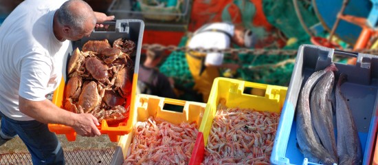 les-ventes-de-poissons-sont-en-baisse