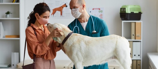 veterinaires-quel-est-l-impact-du-covid-19-sur-la-profession