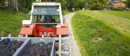 viticulteurs-plus-que-quelques-jours-pour-declarer-votre-recolte-1