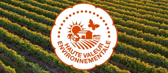 viticulteurs-durcissement-des-conditions-d-acces-a-la-certification-hve