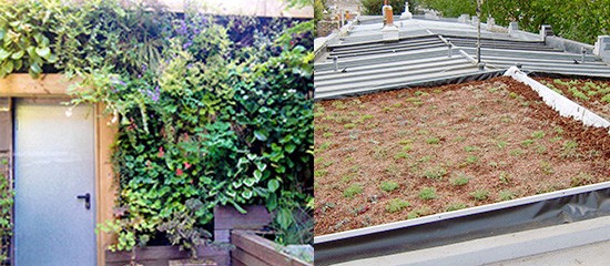 Un jardin sur le toit : le jardinier paysagiste des villes